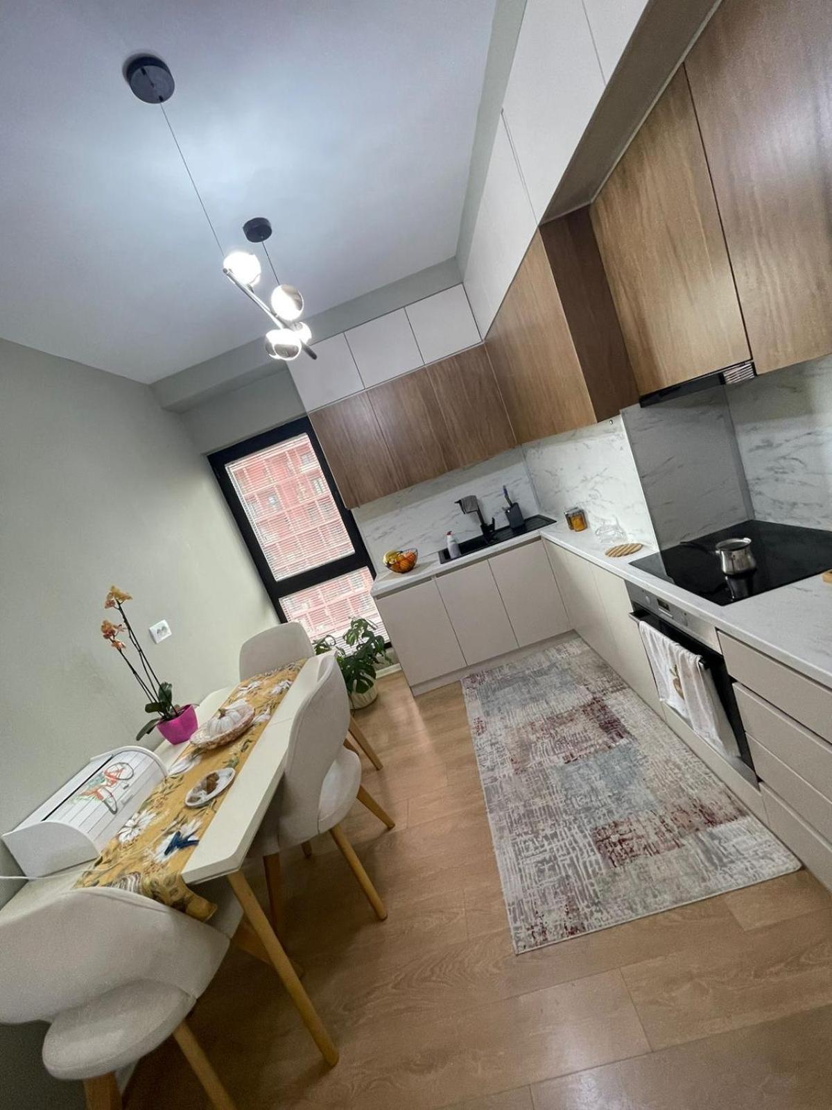Garden Building Luxury Apartment ティラナ エクステリア 写真